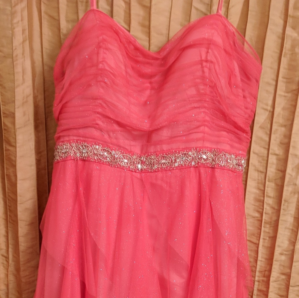 Hailey Coral Chiffon Gown ( David's Bridal)